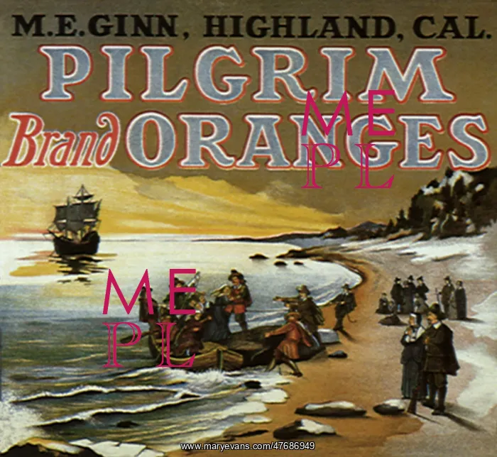  : Pilgrims on Shore
