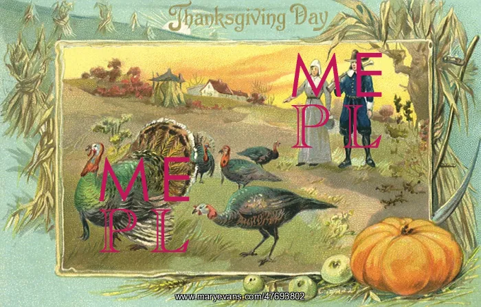  : Pilgrims and Turkeys