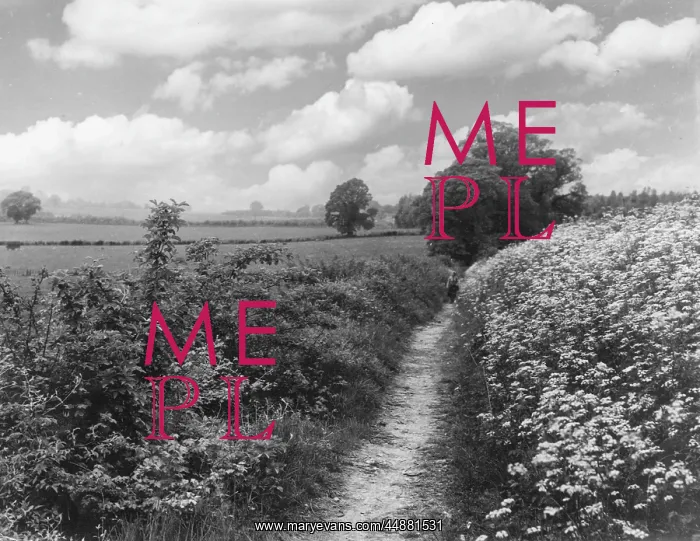 : PILGRIMS WAY : PILGRIMS WAY