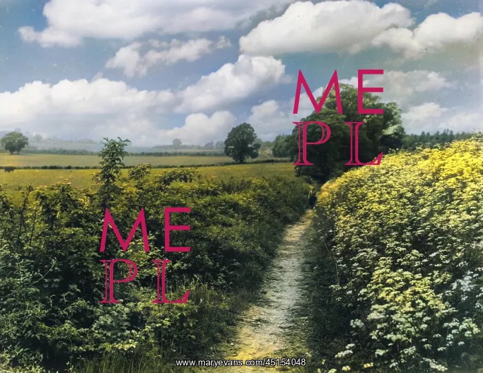 : PILGRIMS WAY : PILGRIMS WAY