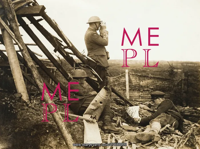 : Pilkem Ridge 1917 : Pilkem Ridge 1917