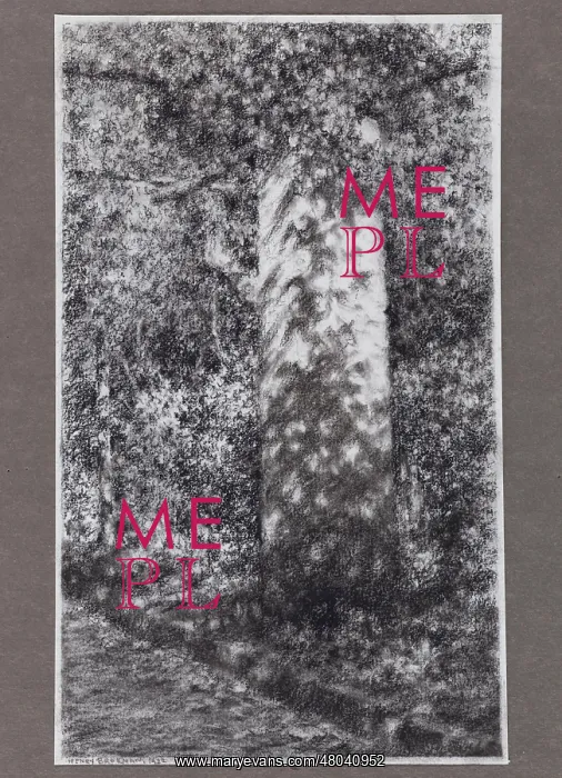 : A pillar of the pergola : A pillar of the pergola