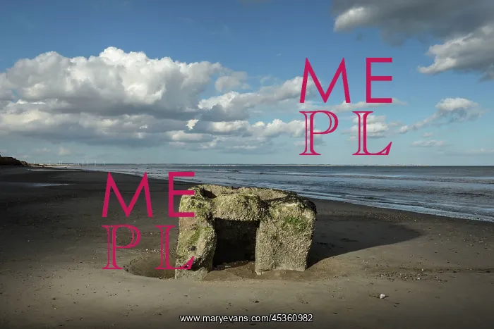 : Pillbox DP : Pillbox DP