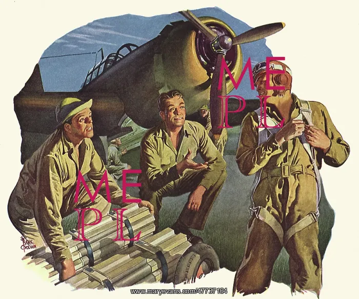 : Pilot adjusts Parashoot before Entering Plane : Pilot adjusts Parashoot before Entering Plane