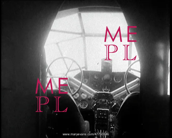 : Pilot of An Aircraft Abandoning Command Board : Pilot of An Aircraft Abandoning Command Board