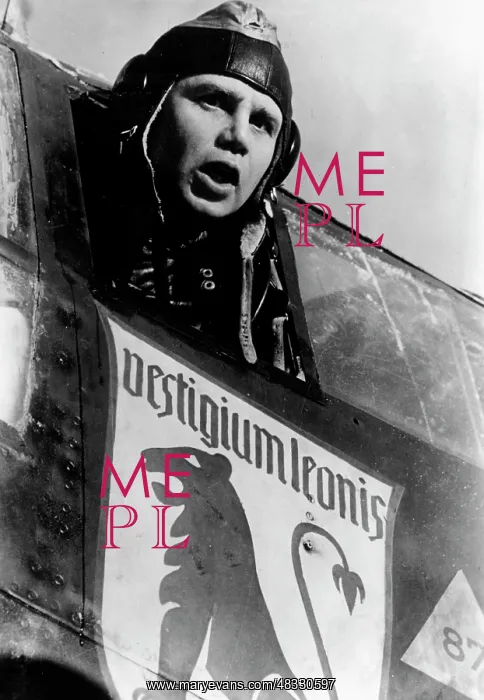 : Pilot of Fighter Wing 26, 1942 : Pilot of Fighter Wing 26, 1942