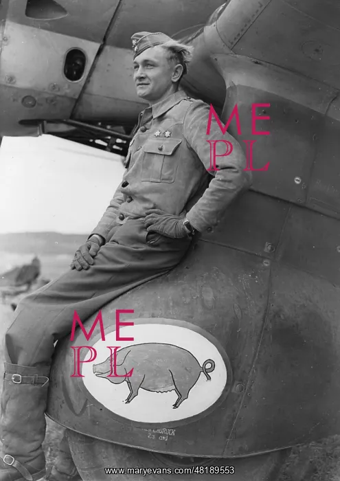 : Pilot of the Legion Condor in Spain, 1939 : Pilot of the Legion Condor in Spain, 1939
