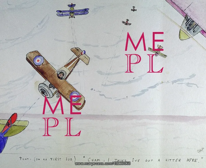 : Pilot (on his first job) Chaps: I think I've got a sitter : Pilot (on his first job) Chaps: I think I've got a sitter