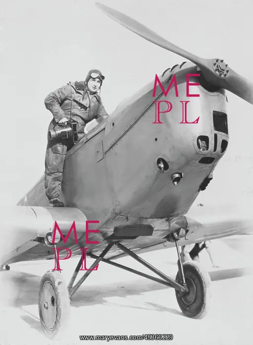 : Pilot and plane : Pilot and plane