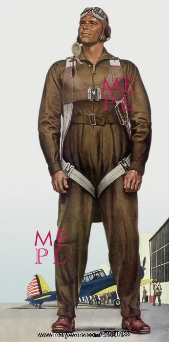  : Pilot Ready For Fray