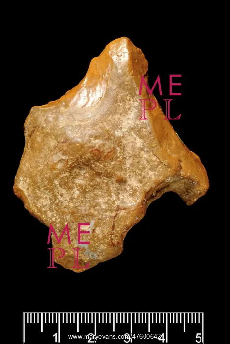 : Piltdown Eolithic flint : Piltdown Eolithic flint