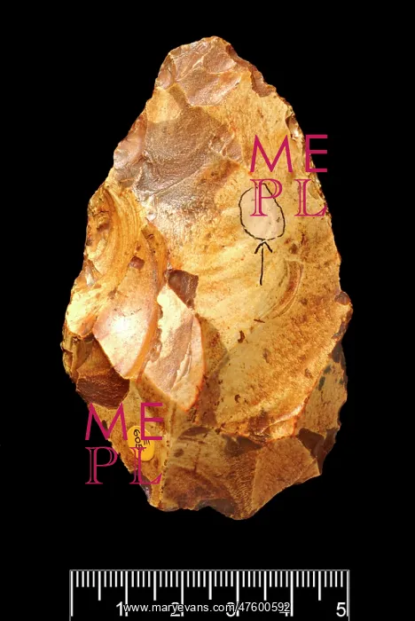 : Piltdown flint implement : Piltdown flint implement