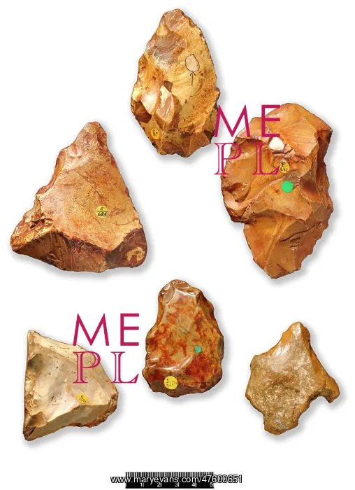 : Piltdown flints : Piltdown flints