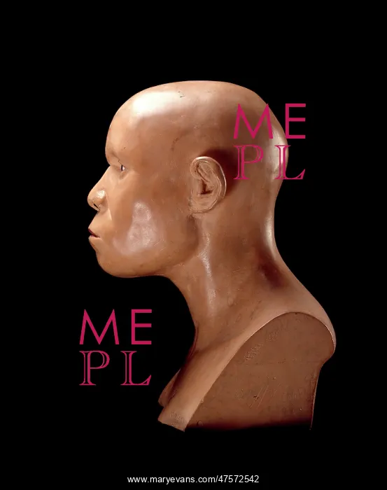 : Piltdown Man (Model based on Piltdown 1 & 2) : Piltdown Man (Model based on Piltdown 1 & 2)