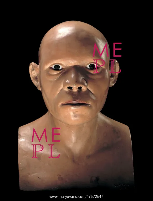 : Piltdown Man (Model based on Piltdown 1 & 2) : Piltdown Man (Model based on Piltdown 1 & 2)