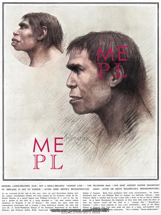: Piltdown man reconstructed : Piltdown man reconstructed