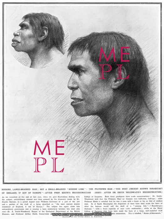 : Piltdown man reconstructed : Piltdown man reconstructed