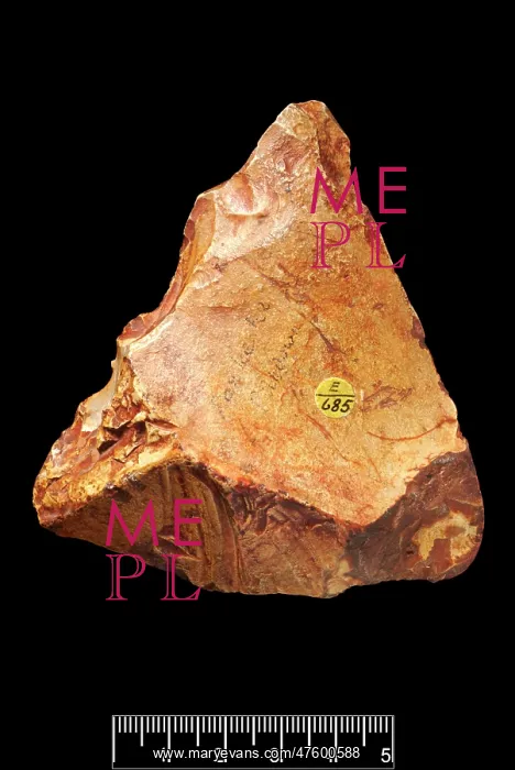 : Piltdown Palaeolith flint : Piltdown Palaeolith flint
