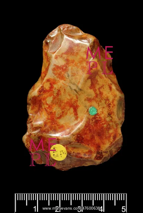 : Piltdown rolled flake : Piltdown rolled flake