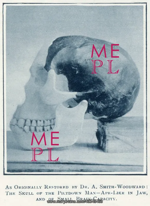 : Piltdown Skull : Piltdown Skull