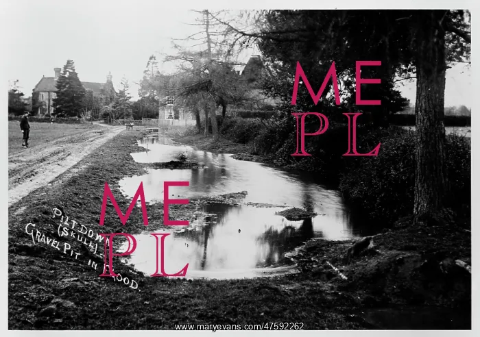 : The Piltdown (Skull) Gravel Pit : The Piltdown (Skull) Gravel Pit