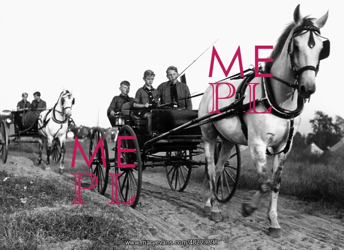 : Pimpfs drive a coach, 1933 : Pimpfs drive a coach, 1933
