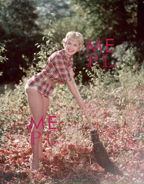 : PIN-UP & AUTUMN LEAVES : PIN-UP & AUTUMN LEAVES
