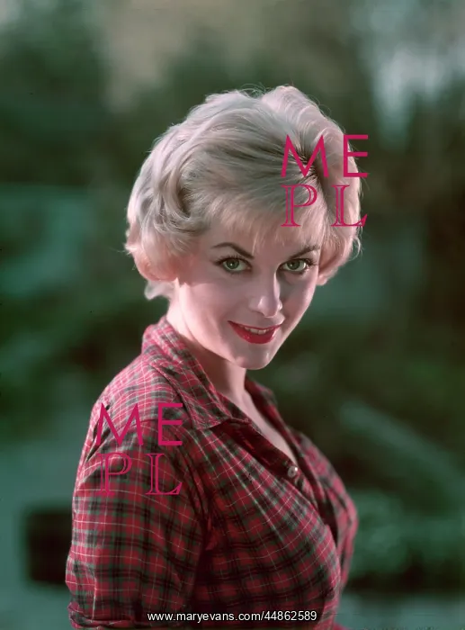 : PIN-UP IN CHECKED SHIRT : PIN-UP IN CHECKED SHIRT
