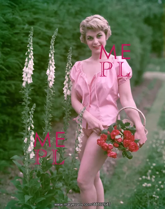: PIN-UP & FOXGLOVES : PIN-UP & FOXGLOVES