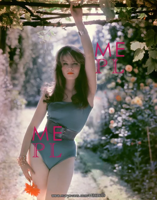 : PIN-UP IN LEOTARD : PIN-UP IN LEOTARD