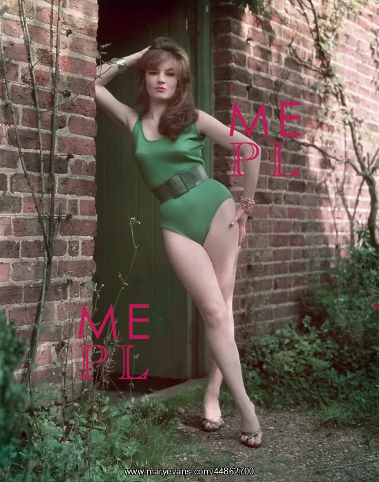 : PIN-UP IN LEOTARD : PIN-UP IN LEOTARD