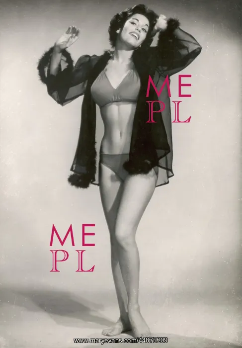 : PIN-UP IN NEGLIGE 1950S : PIN-UP IN NEGLIGE 1950S