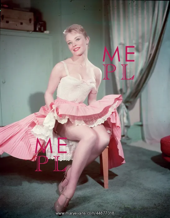 : PIN-UP IN PINK SKIRT : PIN-UP IN PINK SKIRT