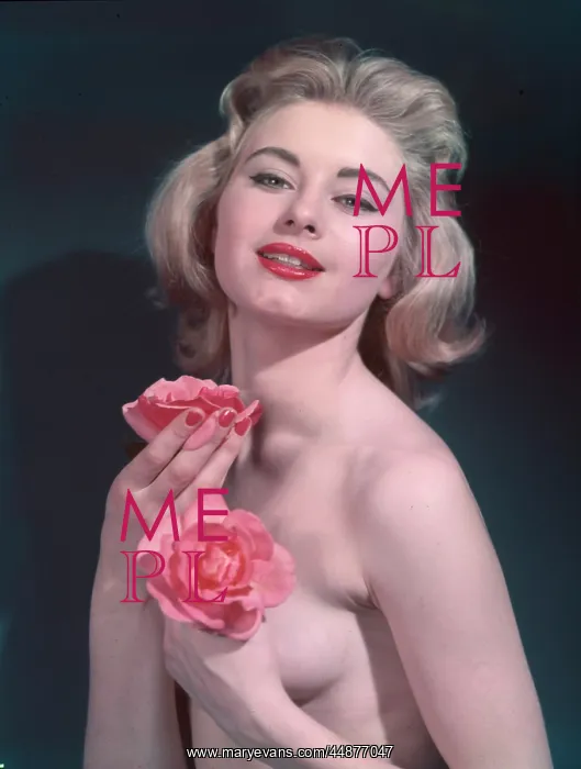 : PIN-UP WITH ROSES 2 : PIN-UP WITH ROSES 2