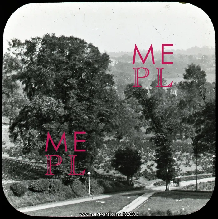 : Pincott Fields : Pincott Fields