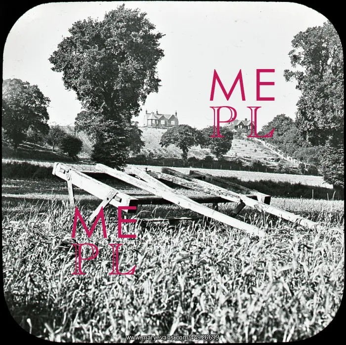 : Pincott Fields : Pincott Fields