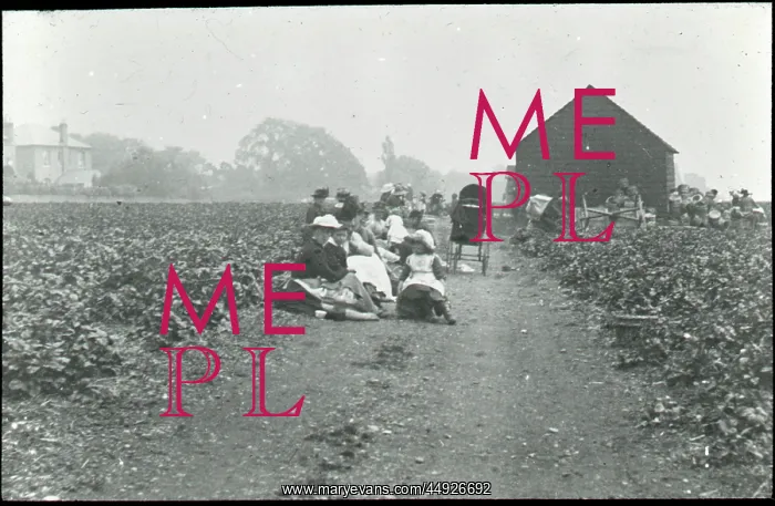 : Pincott Fields, Pincott Road : Pincott Fields, Pincott Road