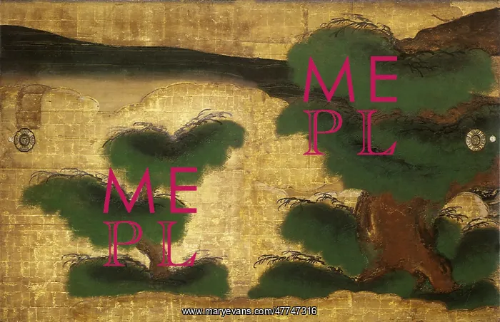  : Pine