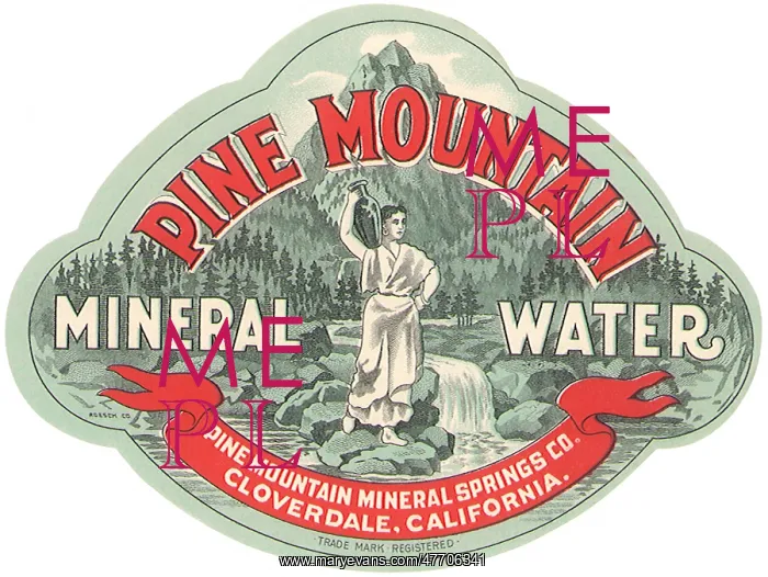  : Pine Mountain Mineral Water Label