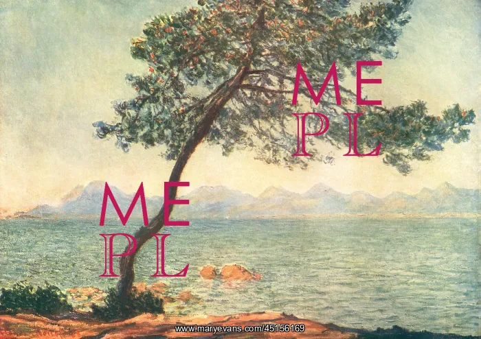 : Pine Tree, Cape Of Antibes : Pine Tree, Cape Of Antibes
