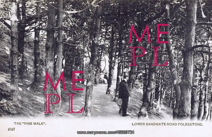  : The Pine Walk - Lower Sandgate Road, Folkestone, Kent