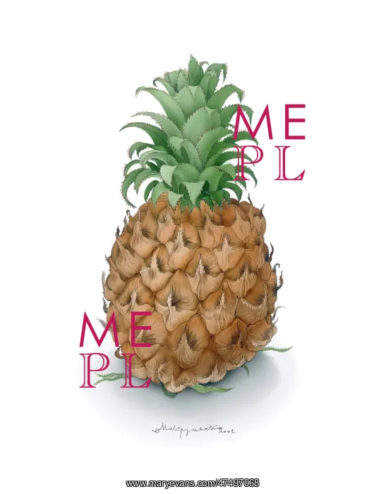  : Pineapple