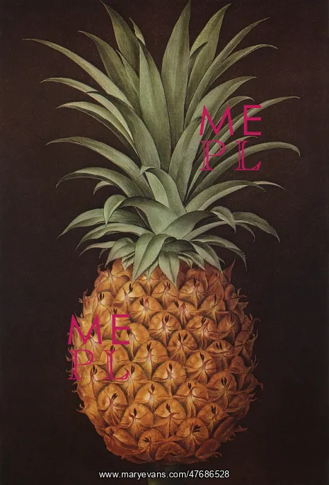  : Pineapple on Black