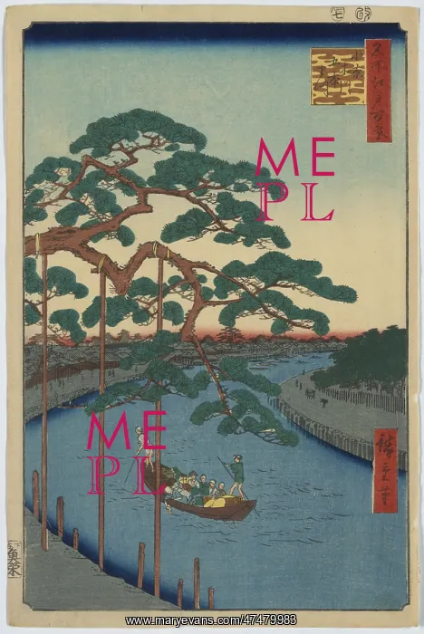 : Five pines, Onagi Canal : Five pines, Onagi Canal