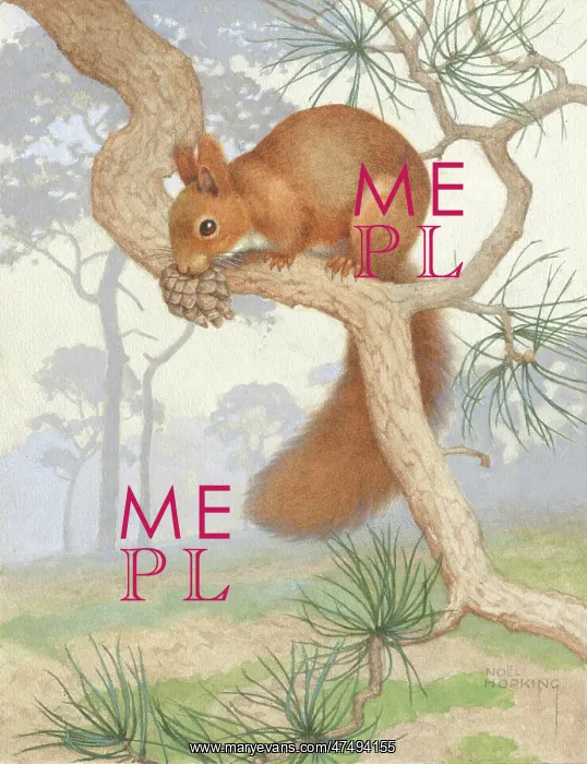 : Among the Pines - squirrel on a pine bough : Among the Pines - squirrel on a pine bough