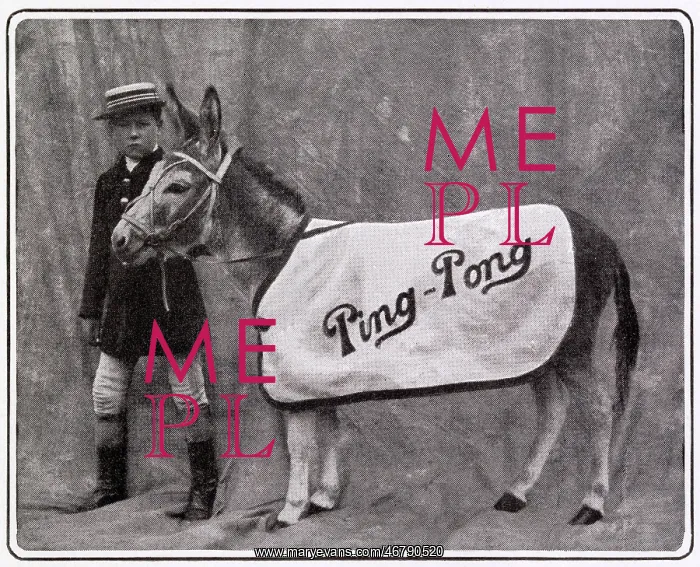 : Ping Pong the Performing Donkey 1903 : Ping Pong the Performing Donkey 1903