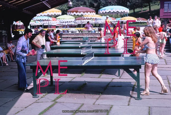 : Ping pong, table tennis, recreation, summer : Ping pong, table tennis, recreation, summer
