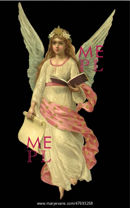 : Pink Angel : Pink Angel