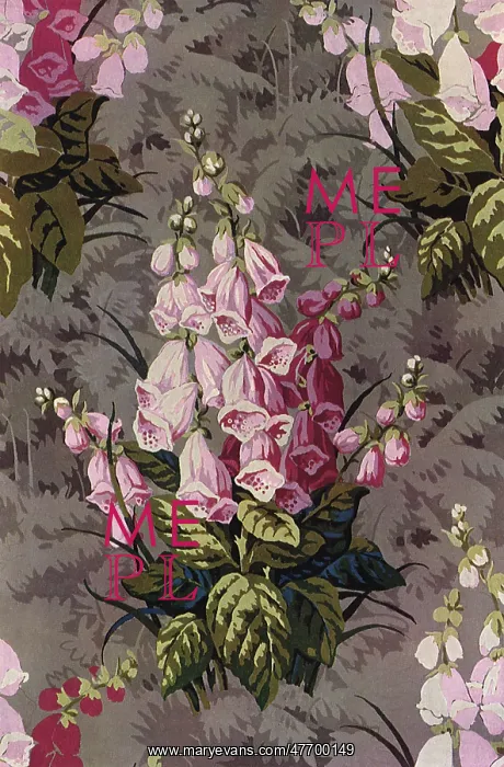 : Pink Blossoms : Pink Blossoms