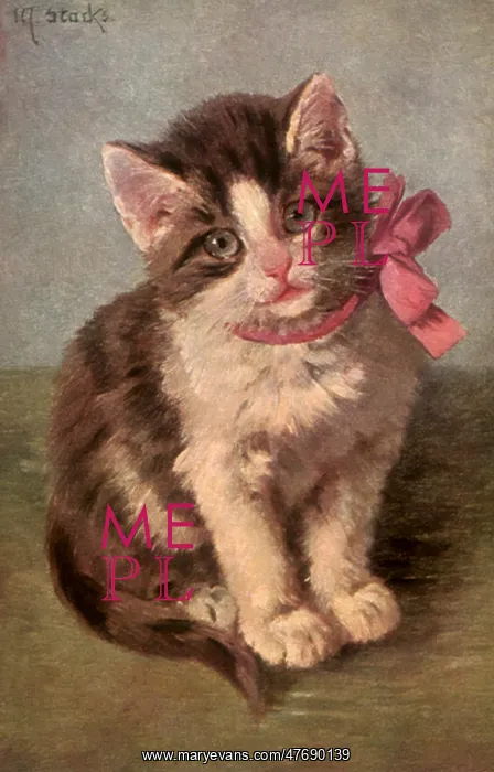  : Pink Bowed Kitten